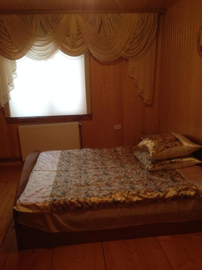 IltsiКарпатська Перлина公寓 外观 照片